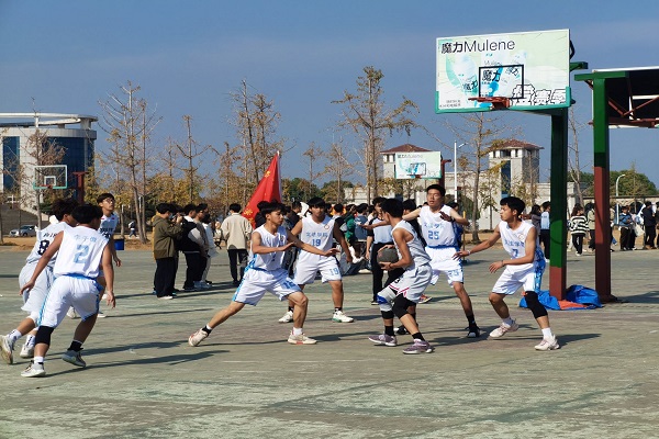 QQ图片20221115233325.jpg