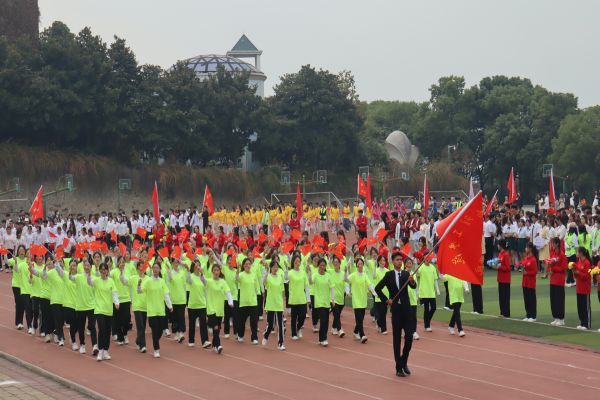 护理.jpg